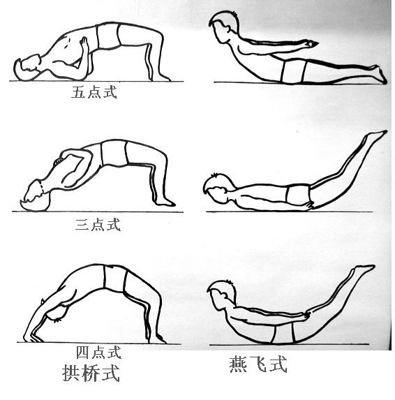 以上是腰背肌的锻炼方法,一般可在每日睡前